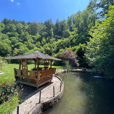 Le Clapot- Les Iris Daire Saint-Etienne  Dış mekan fotoğraf